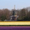 amsterdamt3promoimg2