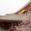tokyot1rupromoimg3