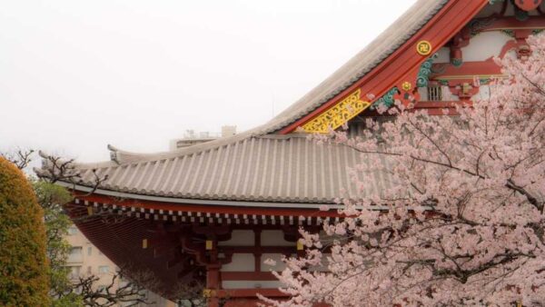 tokyot1rupromoimg3